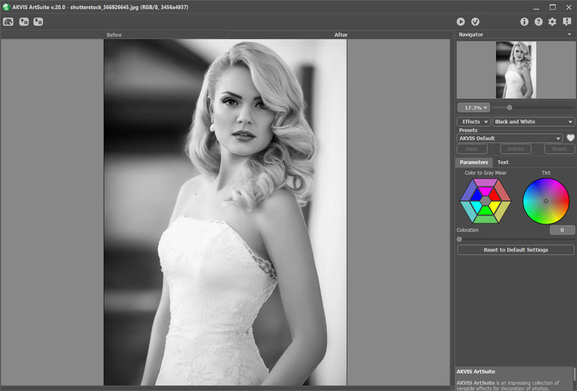 AKVIS ArtSuite Plugin's Workspace: Black and White Effect