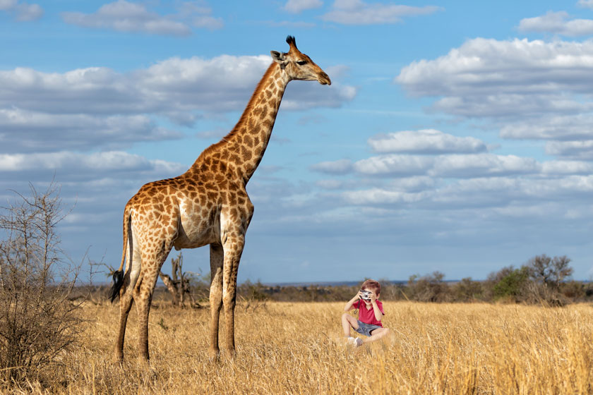 Photo montage: a boy and a giraffe