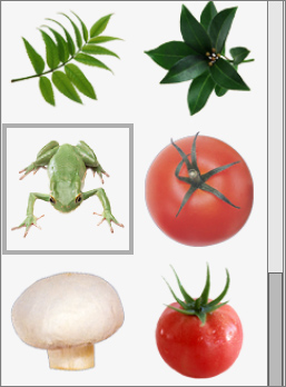 Texturbibliothek: Natur