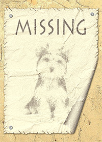 Resultado: aviso de un perro perdido