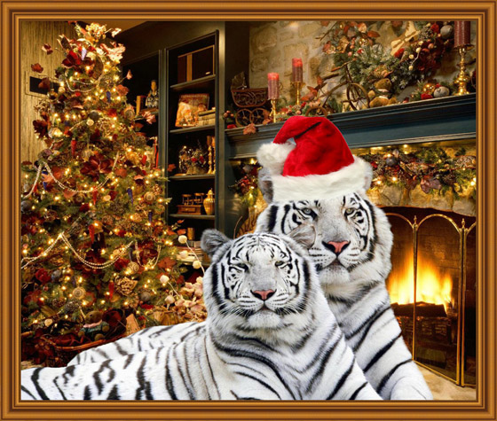 http://akvis.com/img/examples/artsuite/new-year-tigers/picture-in-frame.jpg