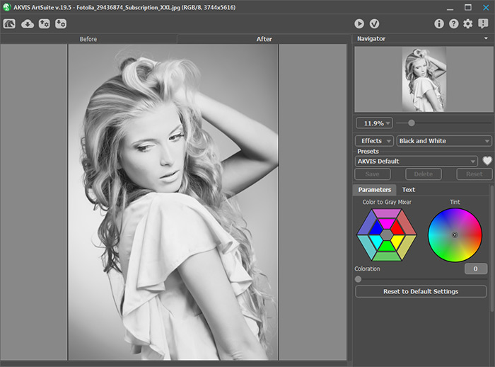 AKVIS ArtSuite Plugin's Workspace: Black and White Effect