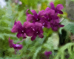 Orquídea: Pintura a óleo