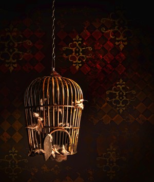 Background With Birdcage