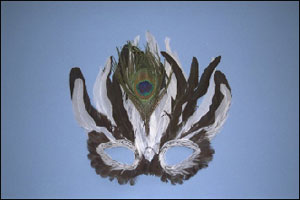 photo of a fancy mask