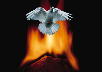 insert the dove into the photo with the fire