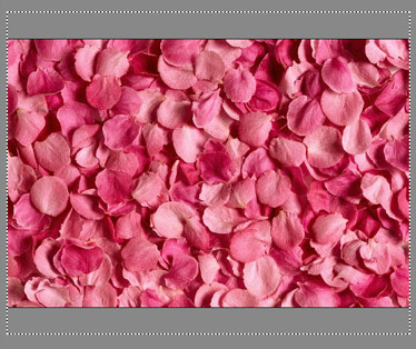 We change the size of the rose petals image