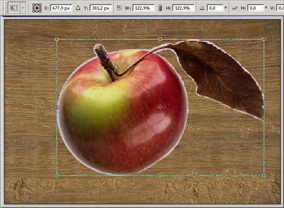 Object transformation