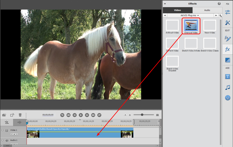 Charcoal Video dans Adobe Premiere Elements