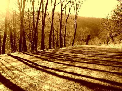 How to get a nice sepia photo