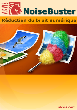 Télécharger PDF: AKVIS Noise&thinsp;Buster