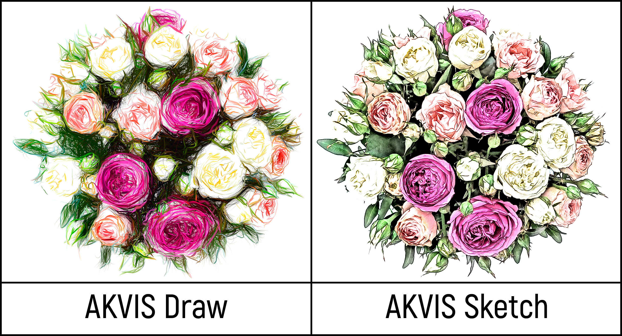 Cute Differences Between Sketch And Drawing for Adult