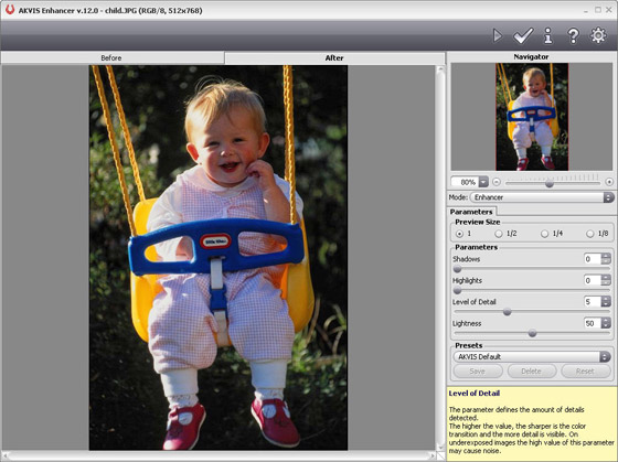 AKVIS Enhancer window in the Enhancer mode