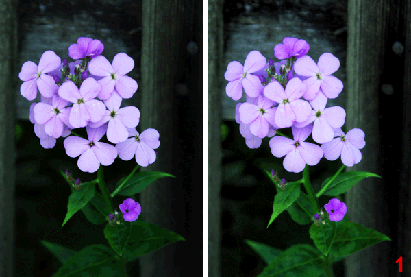 The Original Image and Results After Processing in Enhancer and Smart Correction Modes