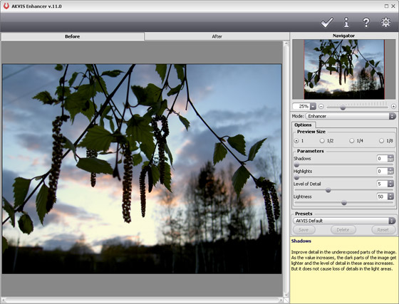 AKVIS Enhancer Plugin, Windows-version