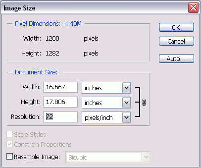 Resolution change for magnified image