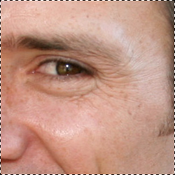 Original Image Original Image