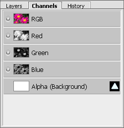 Channels Palette: RGB Channels