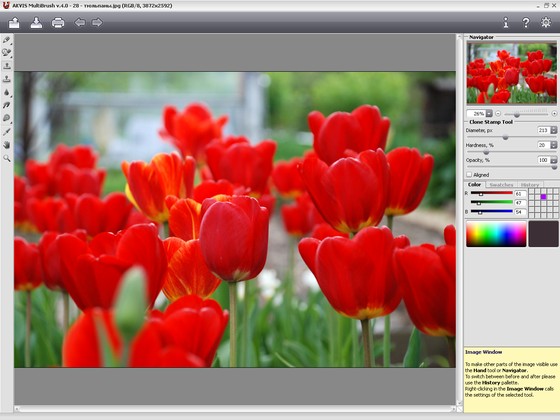 Área de Trabajo de AKVIS MultiBrush
