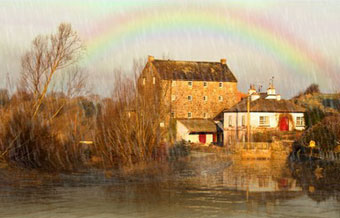 Bring Nature To Your Photos