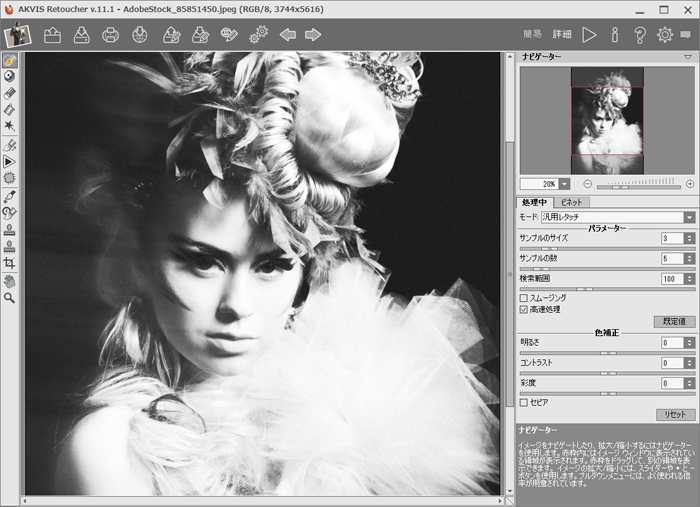 AKVIS Retoucherのワークスペース(詳細モード)