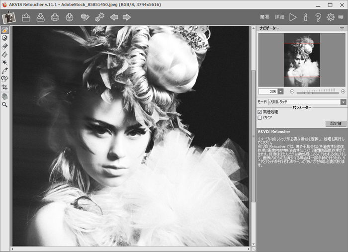 AKVIS Retoucherのワークスペース(簡易モード)
