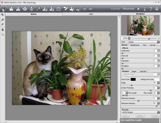 AKVIS Sketch Workspace with the Chosen Parameters