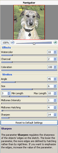 Sketch settings