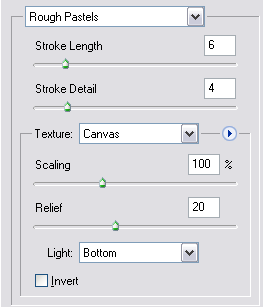 Rough Pastels filter settings