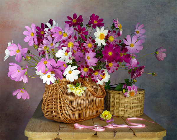 Foto original Foto original