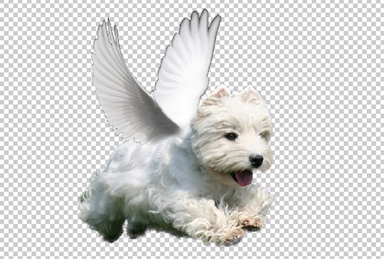 Крылатый пес