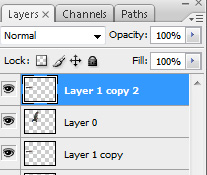 Copy the Layer