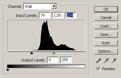 Levels dialogue box