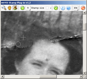 AKVIS Stamp: cloning a fragment of the image