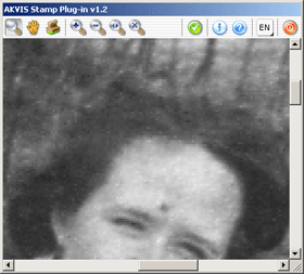 AKVIS Stamp: the cloned fragment adapts to the background