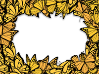 Рамки: Рамки с бабочками