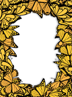 Frames: Butterflies Pack