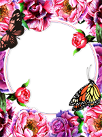 Bilderrahmen : Schmetterlingspaket