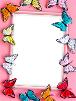 Рамки: Рамки с бабочками