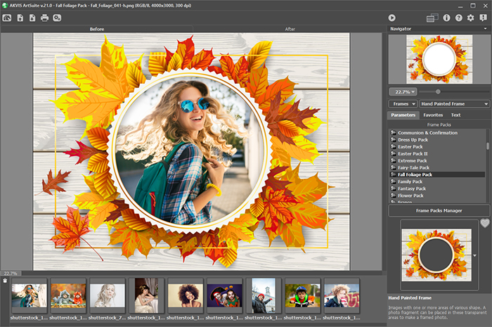 AKVIS ArtSuite 9.0 screenshot