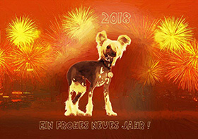 Cartão de Ano Novo por Heidi Kull
