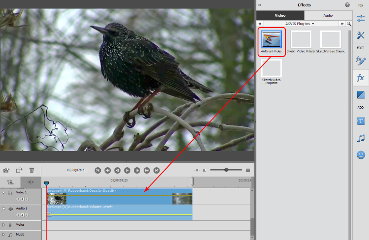 AirBrush Video dans Adobe Premiere Elements