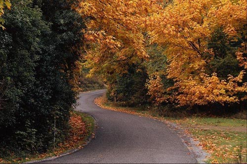 Autumnal scenery