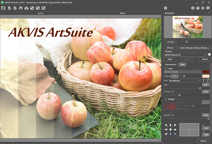 AKVIS ArtSuite でテキストを追加