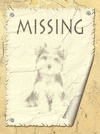 Aviso de cão perdido