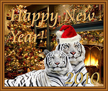 New Year Card