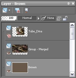 Layers Used in the Last Stage of Processing