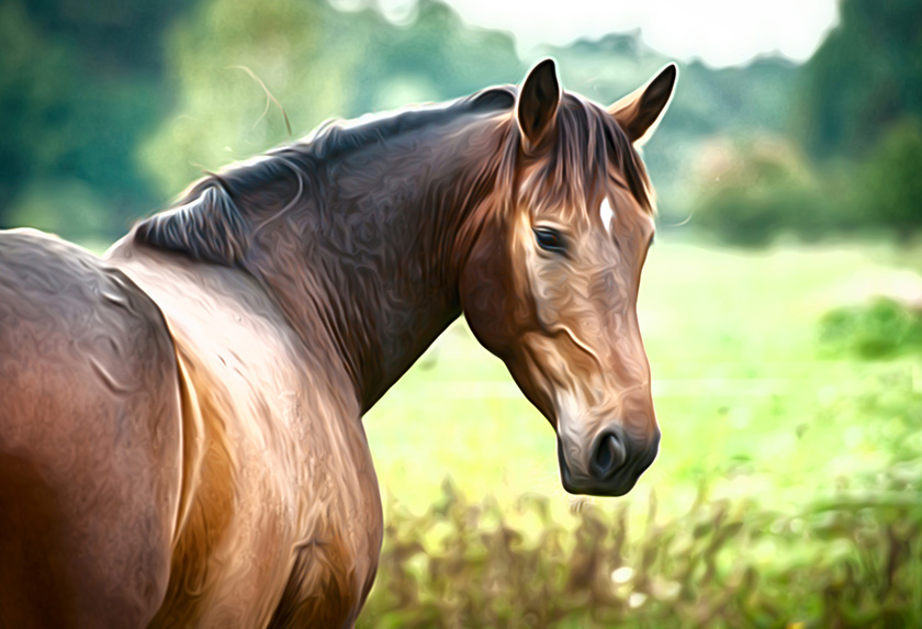 Airbrushing Techniques on Your Photos with AKVIS AirBrush