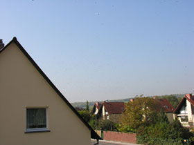Скучная фотография: небо над крышами домов