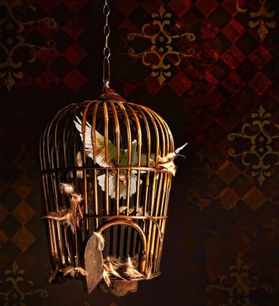 Collage: Vogel im Käfig